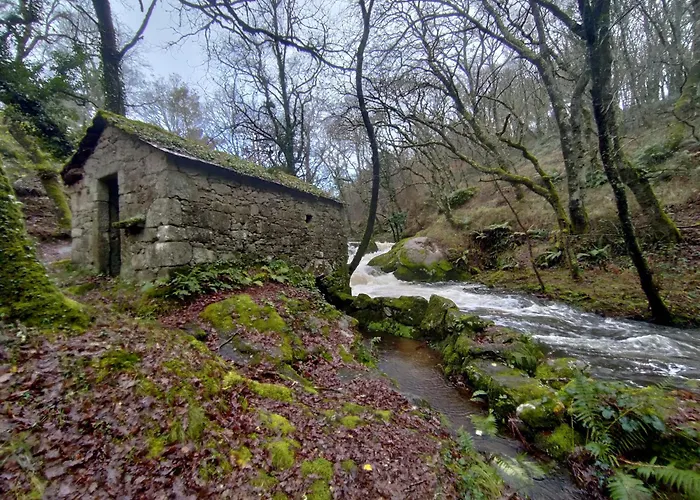 La Casa De Angel Y Olimpia