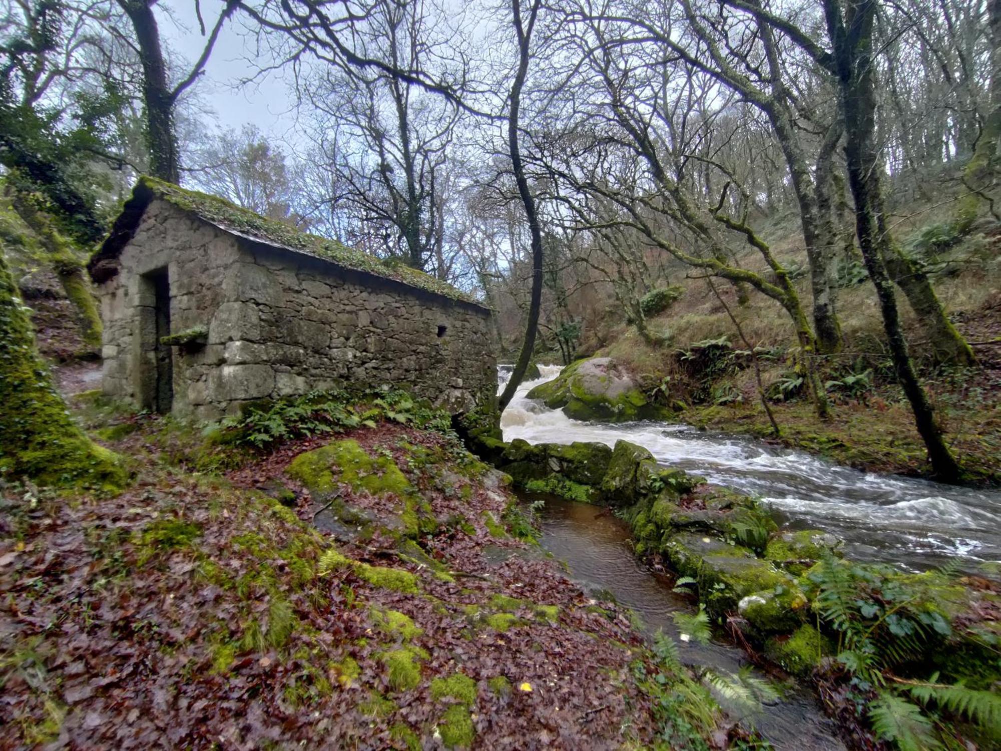 La Casa De Angel Y Olimpia Lugo